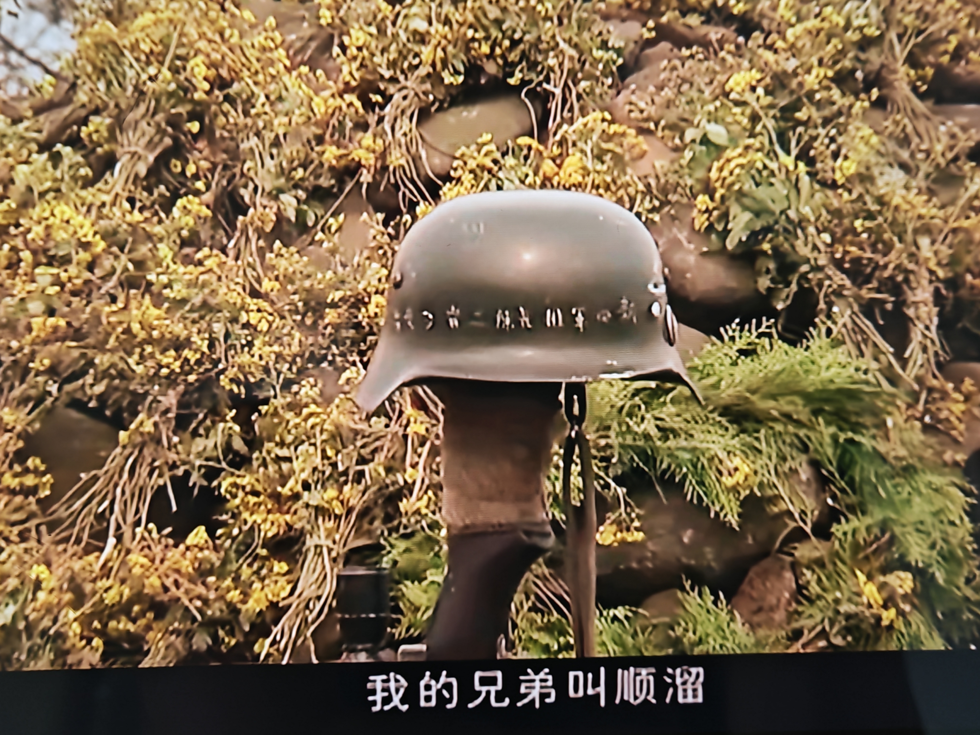 快上车吧[超话] 我的兄弟叫顺溜 最后几集真的有亿点点🈚️🌧 ​​​