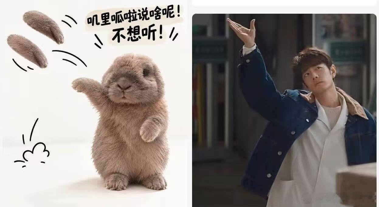猫宁，亮亮藕霸[流鼻血] ​​​