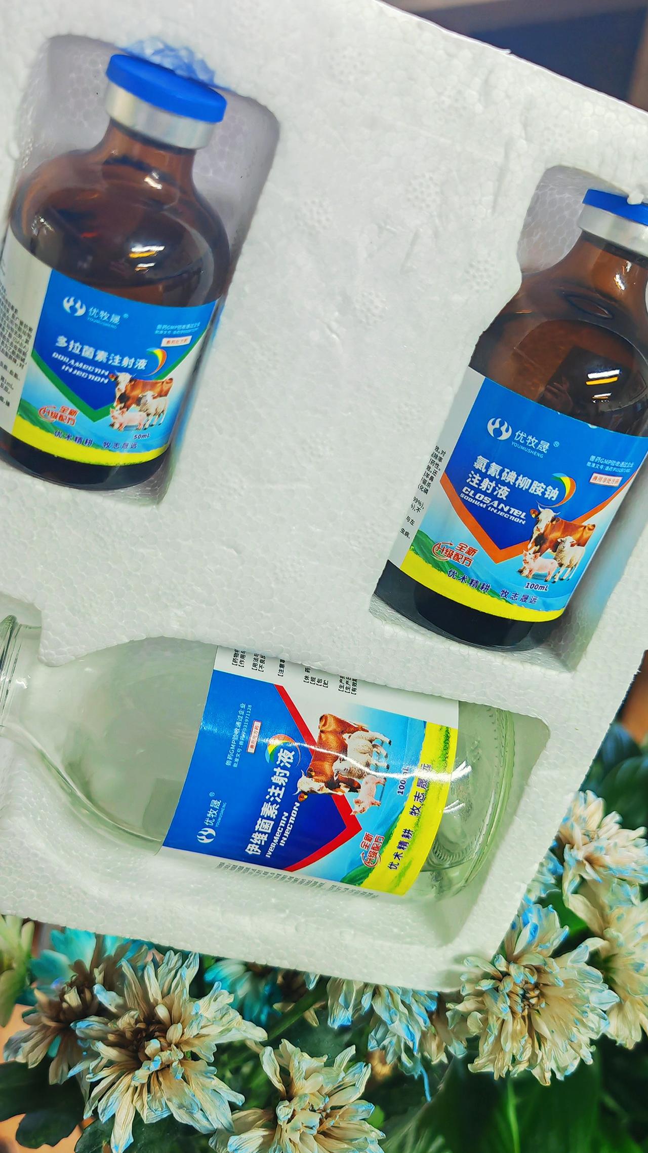 养羊人 养羊技术 农村养羊 牛羊驱虫