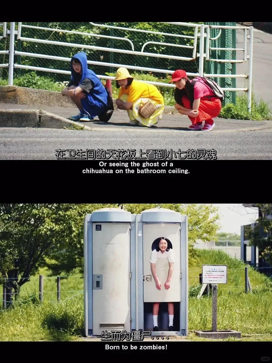 就这样，我们把金鱼放入了泳池