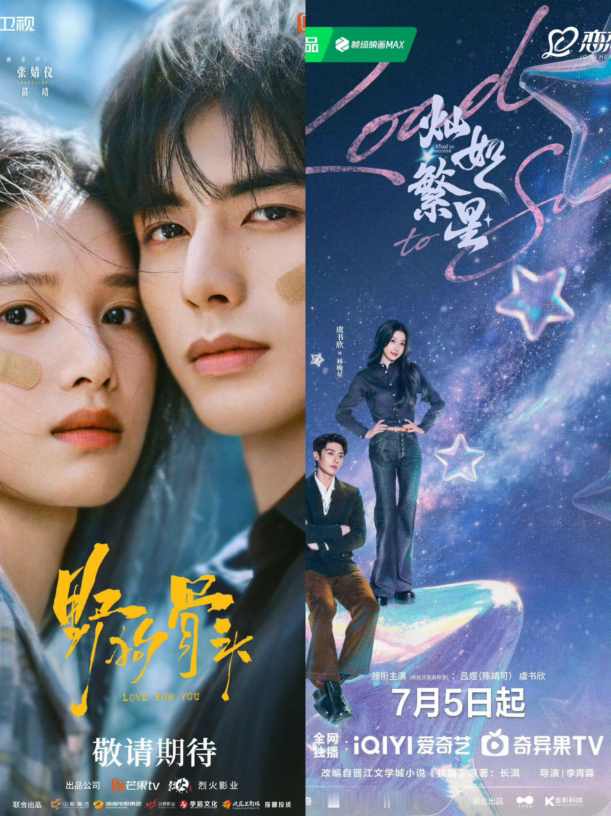 虞书欣张婧仪对打怎么不是宋威龙陈靖可对打啊，不懂就问这两部剧是只有女主吗？怎么每