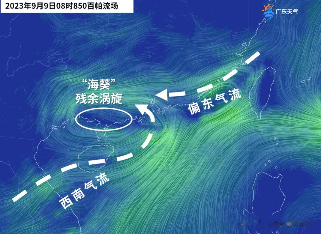 广东这场特大暴雨主要是由于台风“海葵”在广东境内移动速度缓慢，加之西南季风持续给