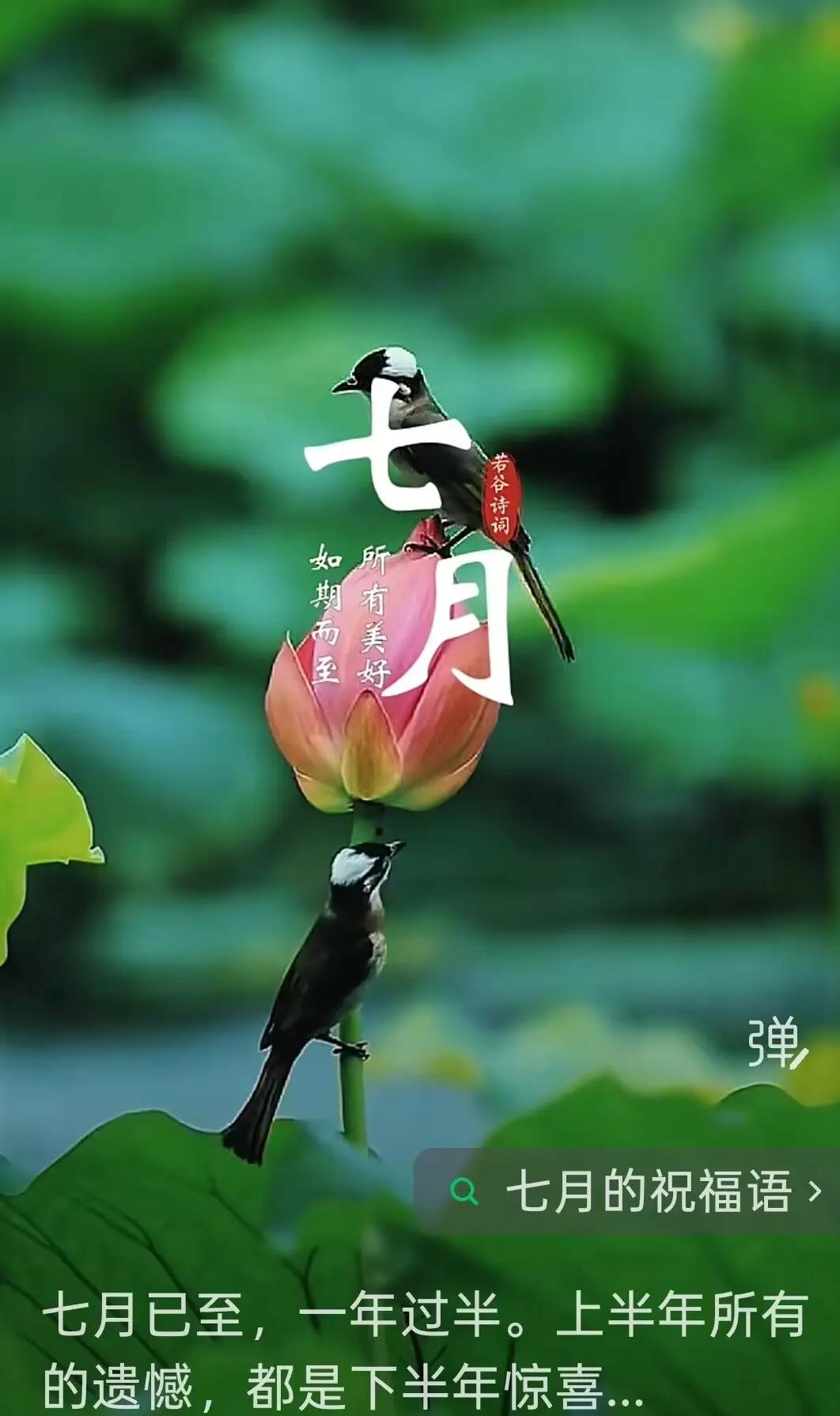 七月的第一条祝福，我想送给你。

愿你忘记六月的烦恼，迎接七月的美好。
遇见七月