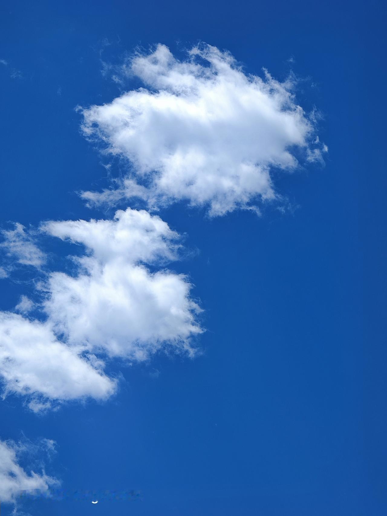 天空之城打卡，这蓝天白云简直绝了！就像武汉那片治愈系“天空之境”，万亩绿茵上，棉