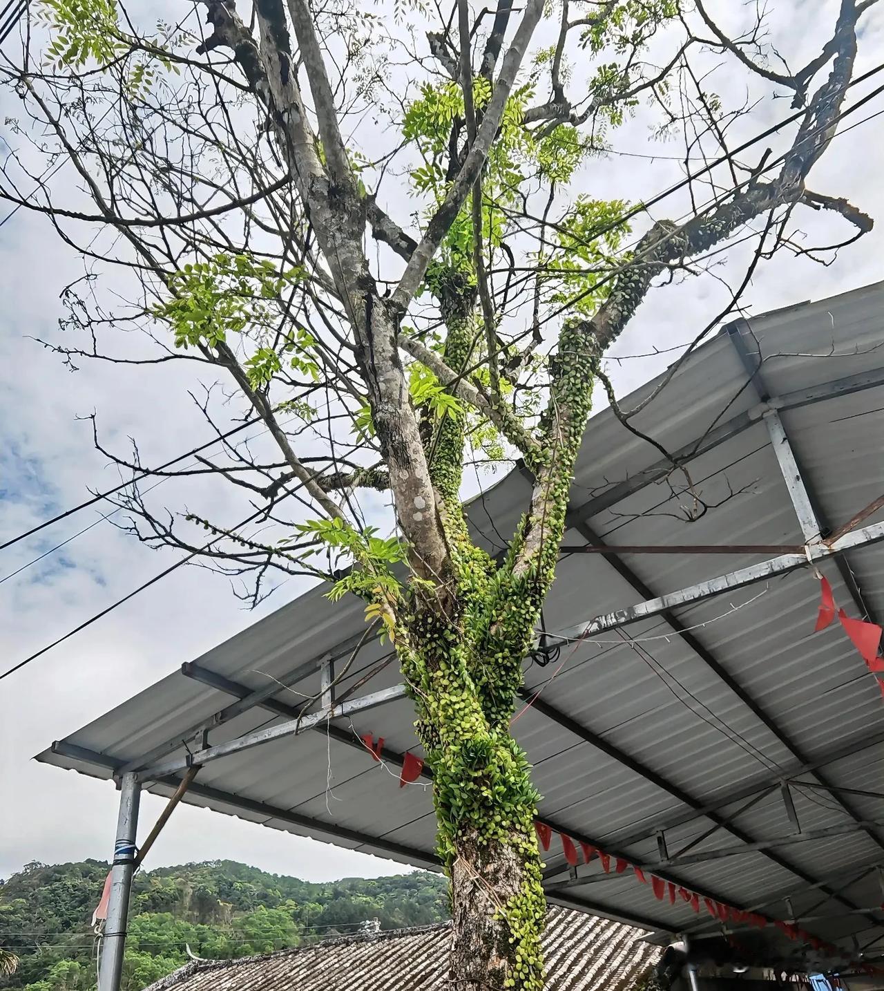 善有善报，孝顺的儿女自有老来福祉[比心]