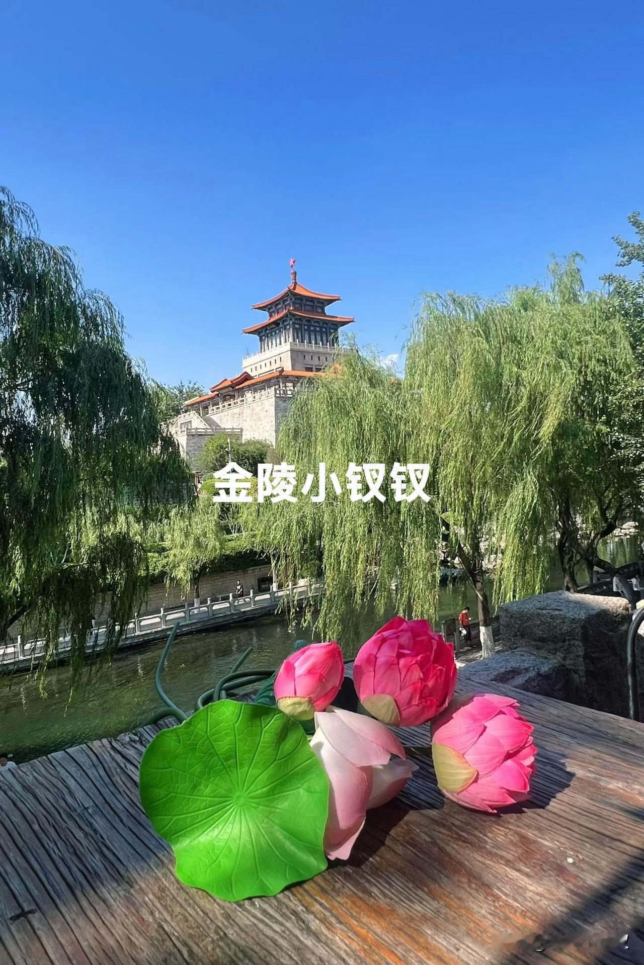 我都不敢想未来！

说这话的是个七零后，五十三四岁的一个男邻居，她的太太和他在一