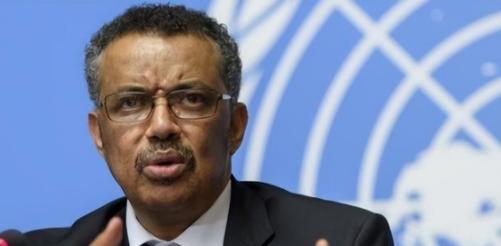 联合国貌似根本不搭理中国

这话说得挺实在。中国在联合国，有时候感觉就像个老实人