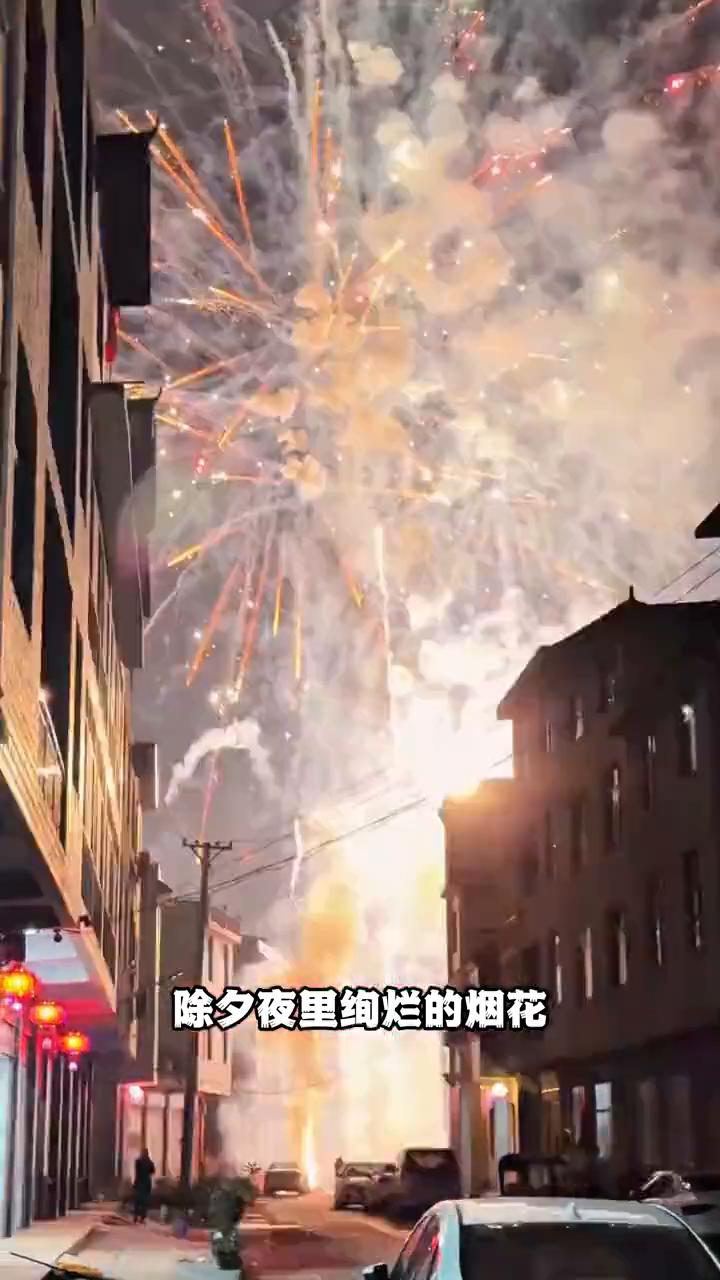 春节就像是做了一场热闹的梦，游子们用300多天的辛勤编织成五六天的梦境，就这样彻