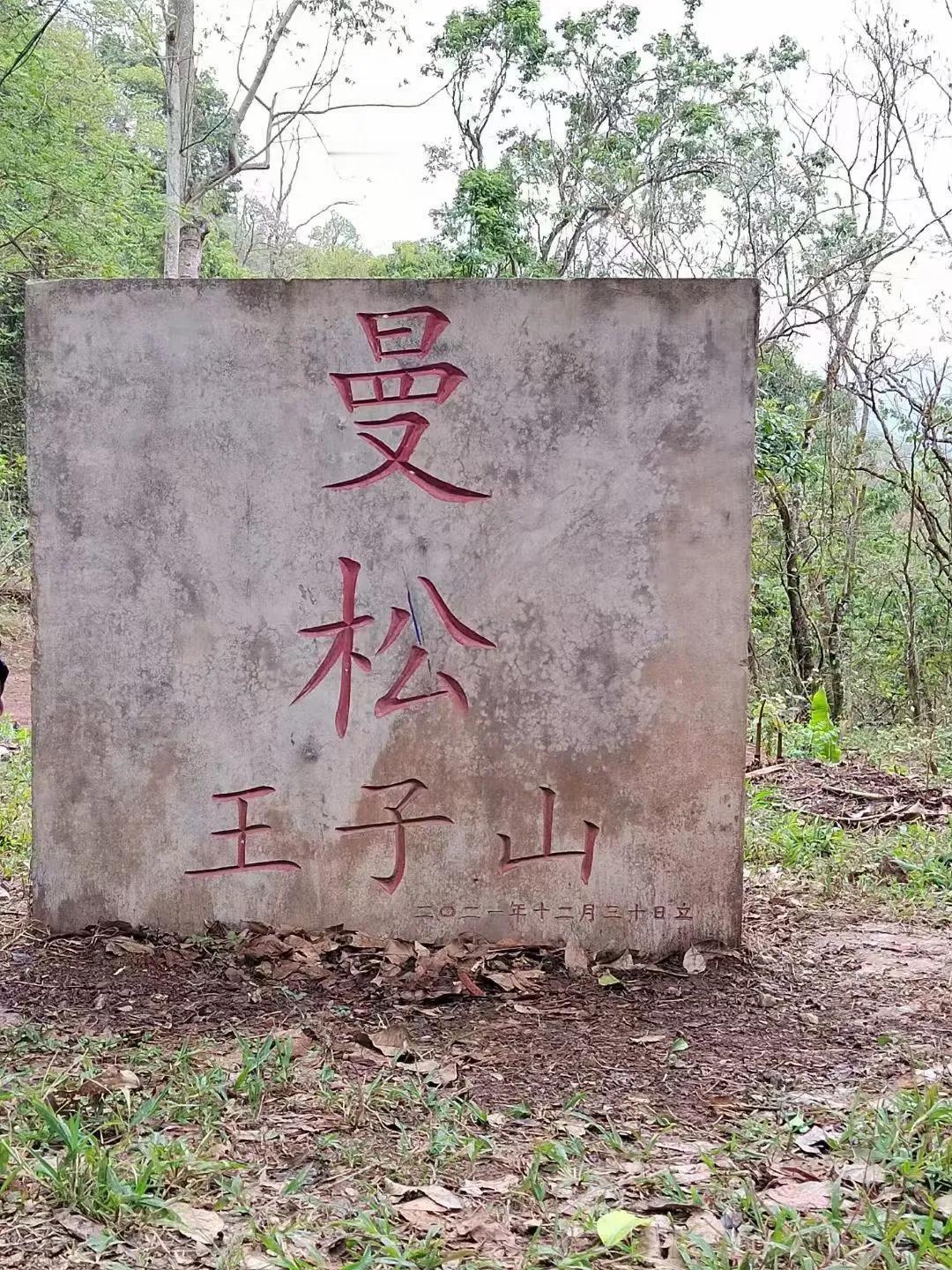 分享一张最近随手拍的照片