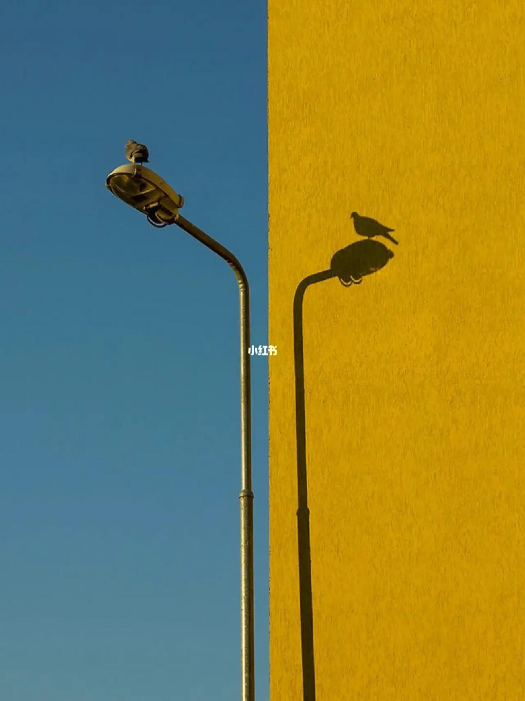 审美提升|每天认识一位摄影大师227