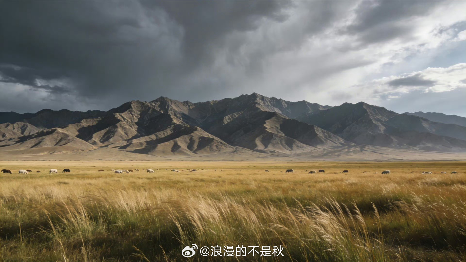 老钱风审美界最严厉的父亲辽阔敕勒川草原褪去俗世浮华，恰似老钱风审美里严苛的父辈。