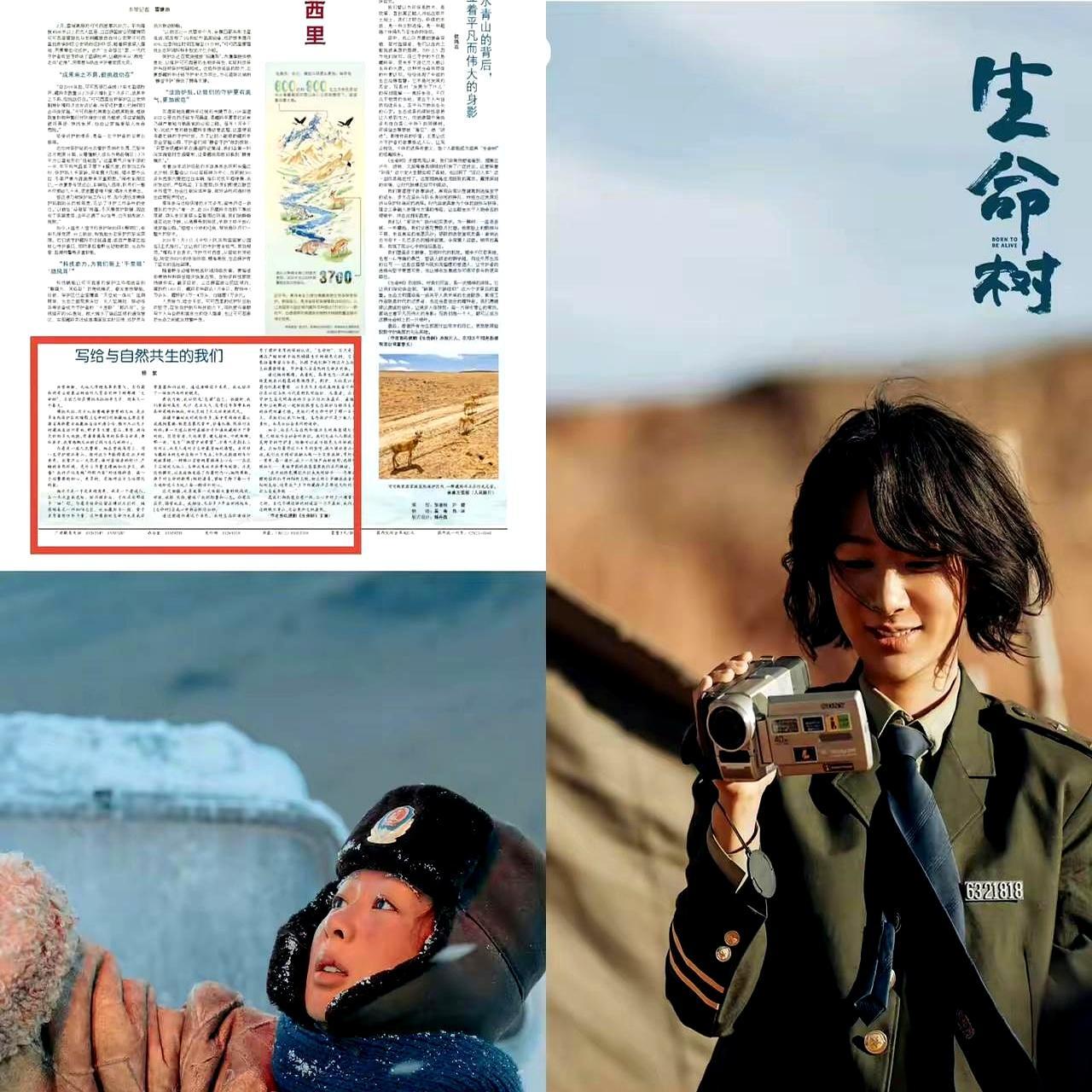 杨紫新剧原型太惨了，舅舅牺牲被打成冰雕，父亲横死，他一个人守了20年。
 
你以