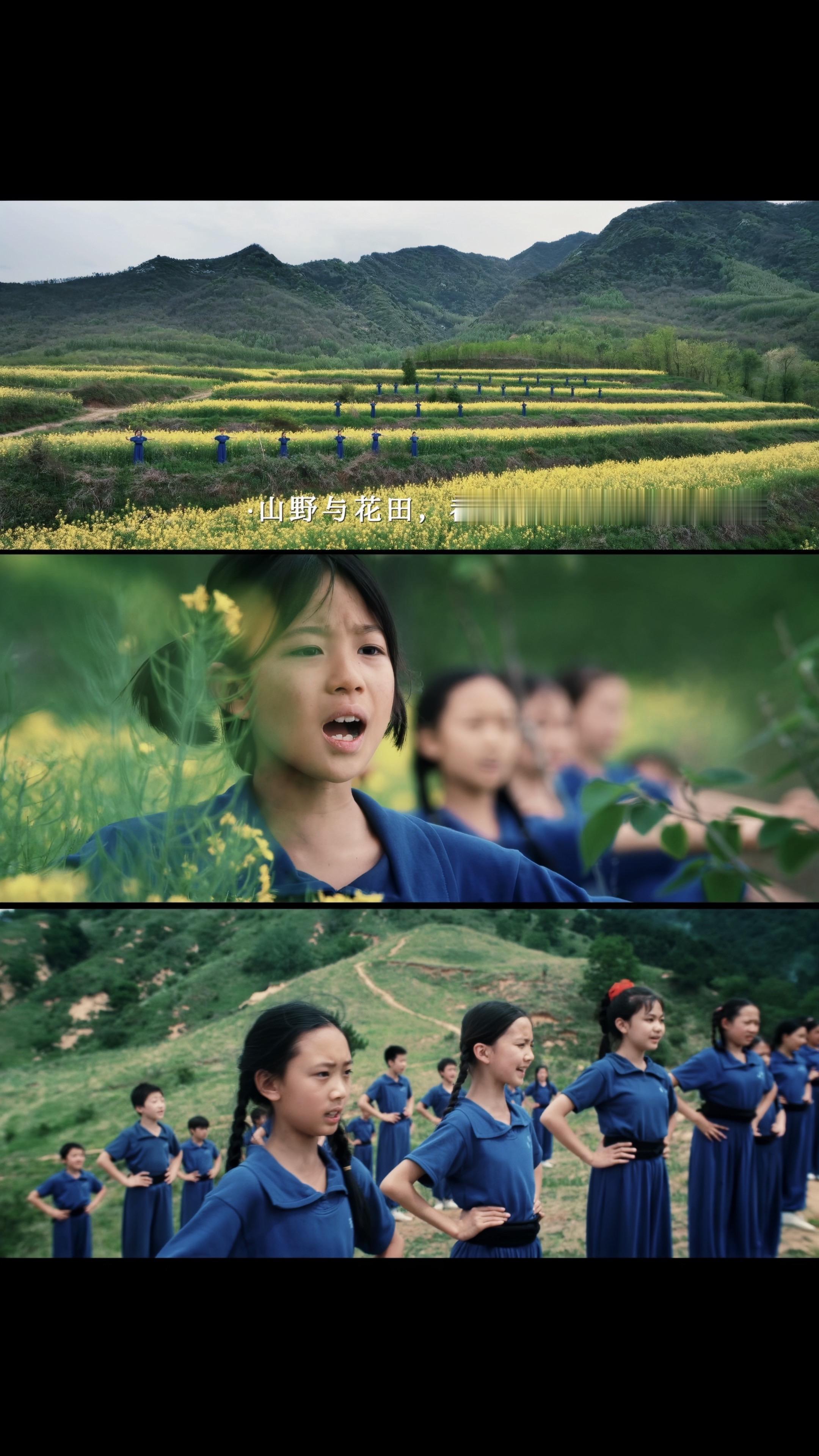 尽管去努力吧，命运会指引你去往该去的地方 