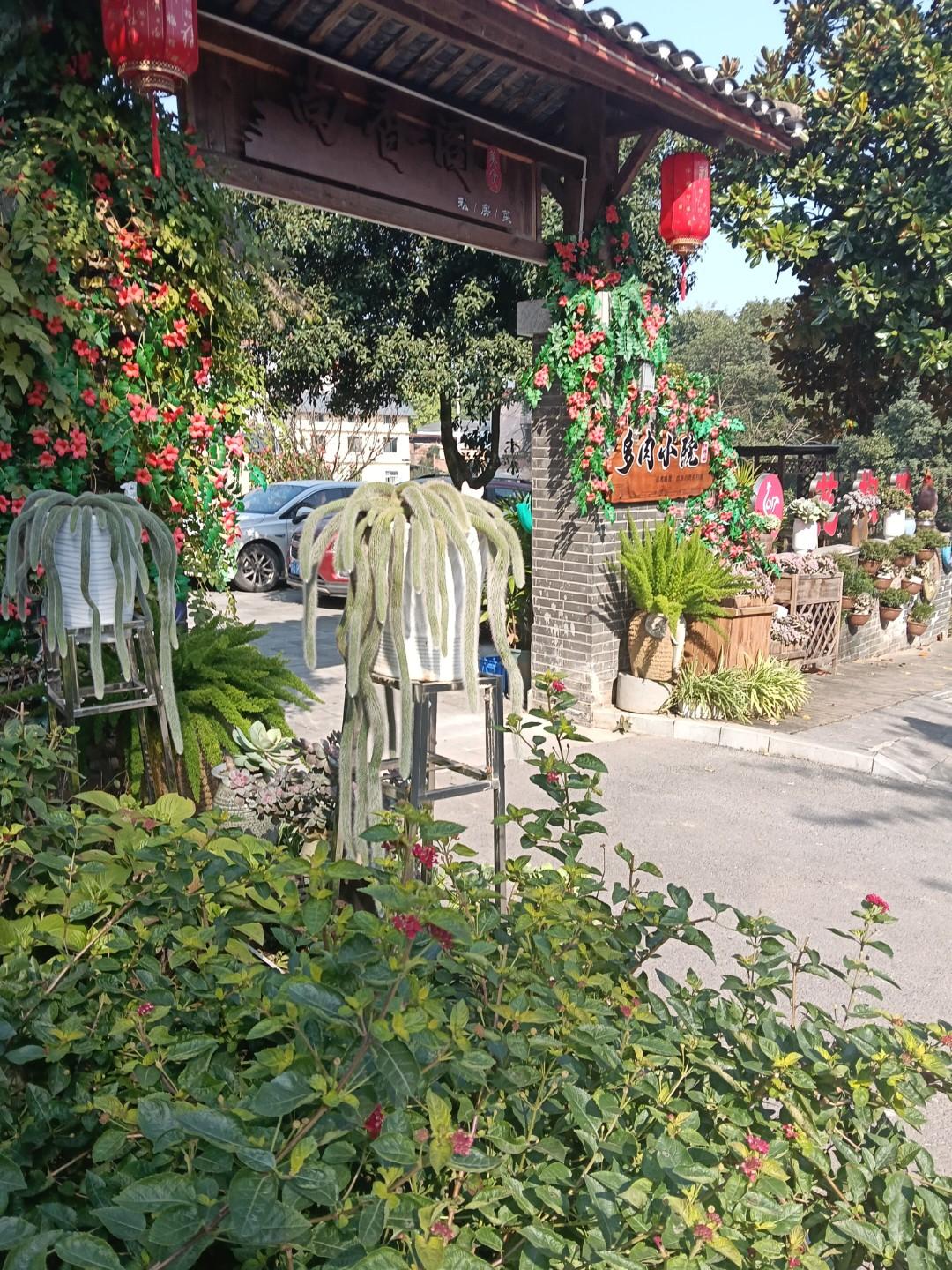 人活一辈子，啥才真正属于自己呢？钱会花光，人会离散，很多身外之物不过是过客。真正