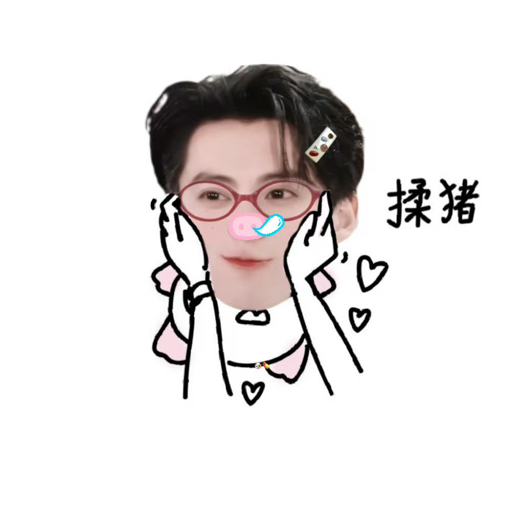 全世界怎么会有王dd这么萌的小猪
