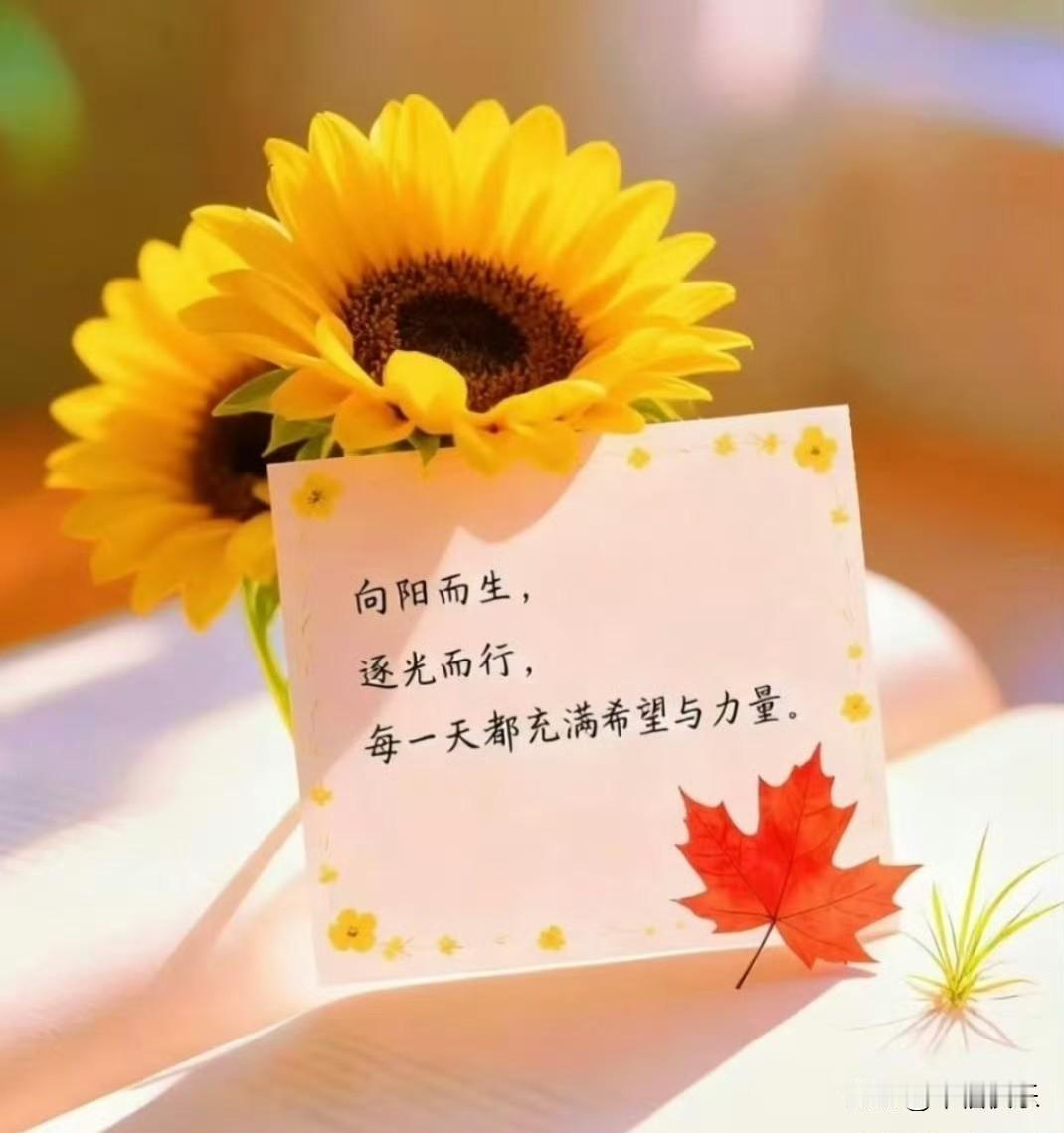 2025.12.09
周二，快乐