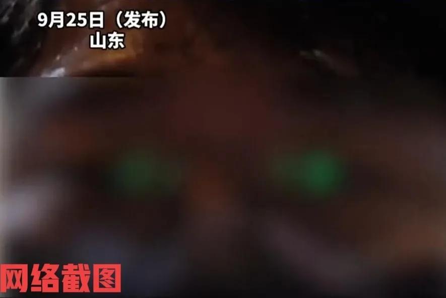 山东有在校男生花十六元买饭。

只当男生刚吃到嘴里感觉味道不对，竟然有点馊味，后