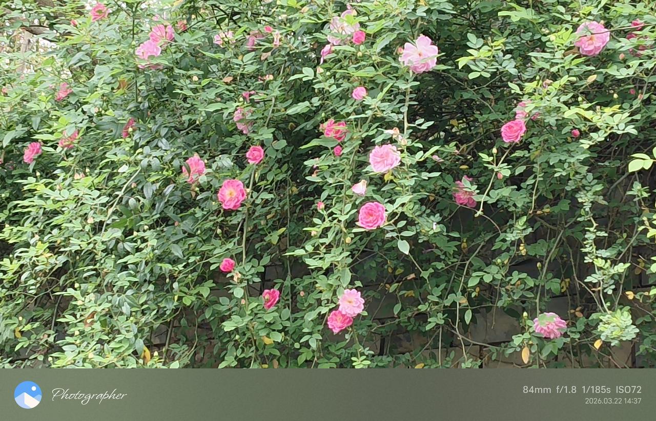 你对中医的看法熟读王叔和，不如临症多。中医是千百年来实践经验的总结摸索出来的一整