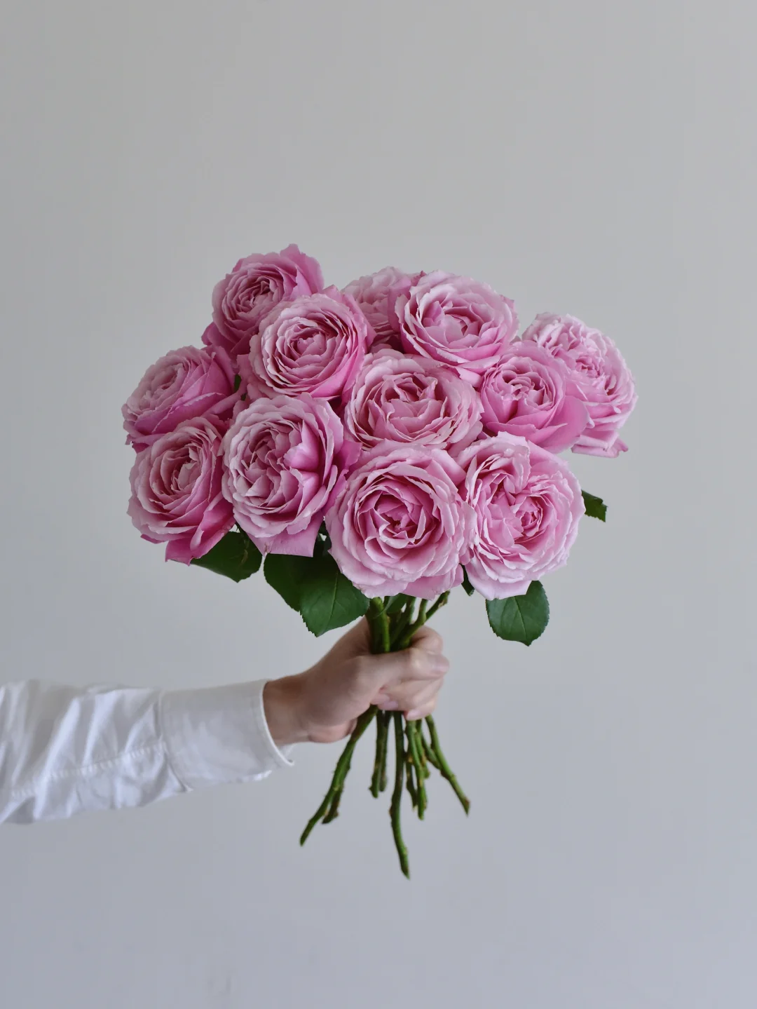 花栖玫瑰园·纽曼姐妹