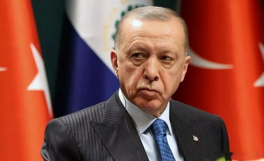 埃尔多安总统地位稳了？土耳其重要消息传出，美国干预选举计划失败

来源:海峡快讯