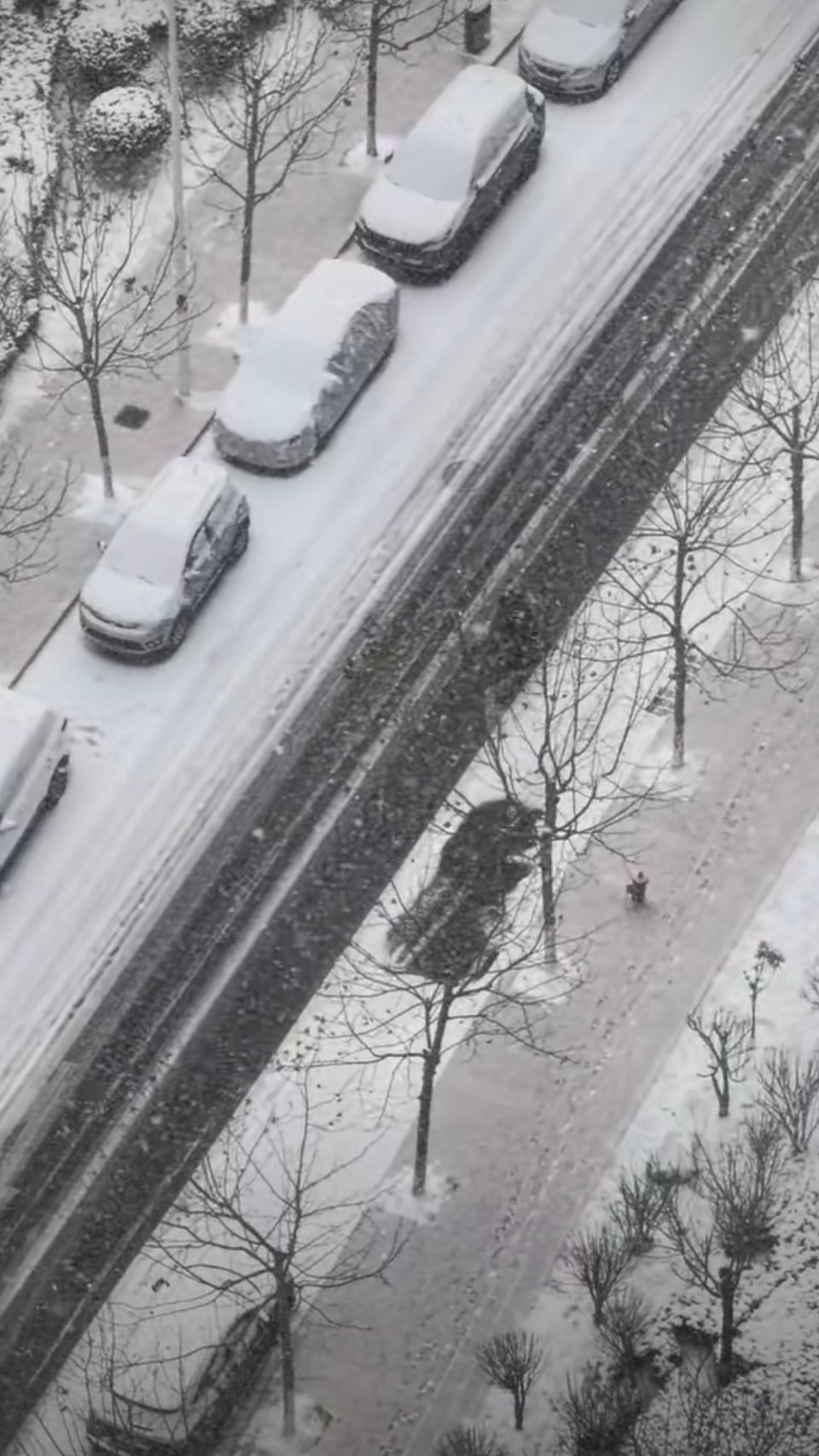 三九来了冷冷冷冷模式开启  现在青岛开启大雪模式[羞嗒嗒]🌨 