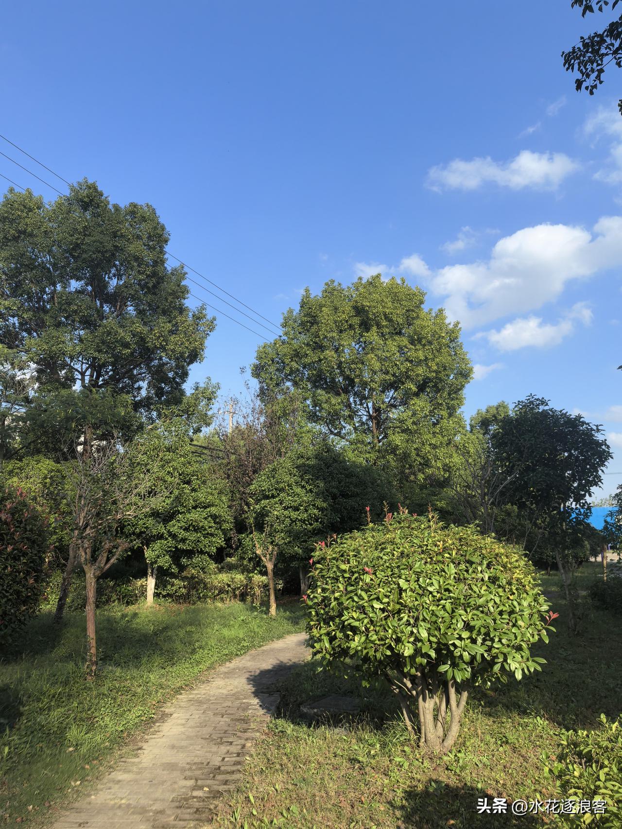 路面的砖块有疏有密，前路一眼望不到尽头；两旁草木深浅错落，头顶云天清朗。阳光穿过