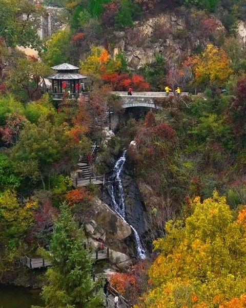 看红叶，赏花海，玩手作，这个地方好看又好玩[爱慕][种草]红叶花海与金秋更配 山