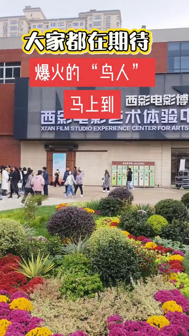 大家都在期待爆火的"鸟人"马上到。