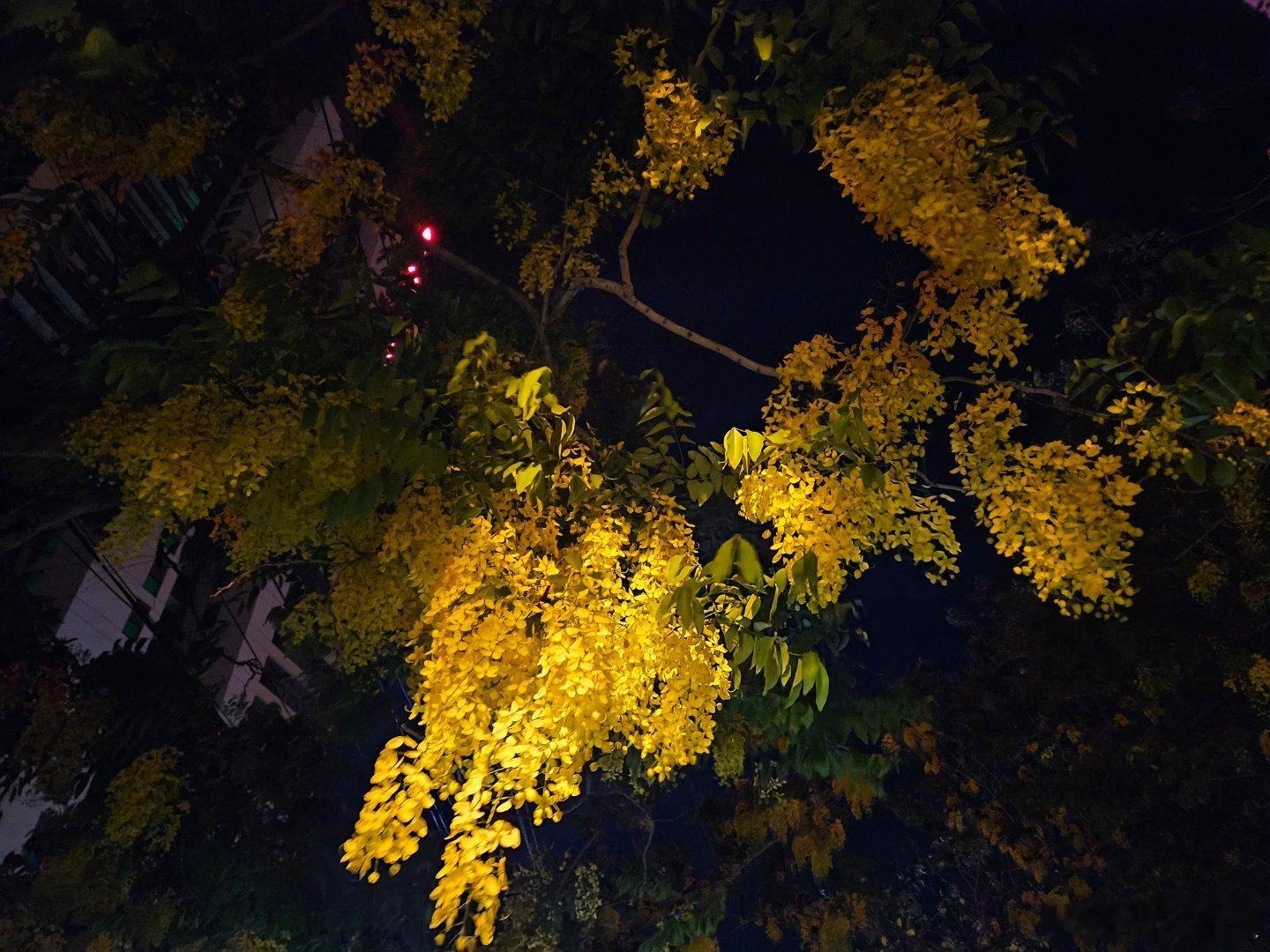 在一个凉爽的夜晚给一位舞蹈老师小妹和一位金融小弟一起过一天生日 我和小明同学一起