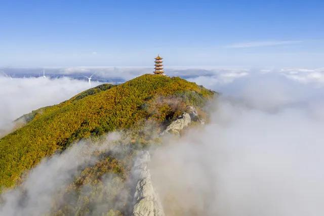 亲爱的自己，谢谢你。感谢一年以来，你取舍有度，忙闲相宜；感谢一年以来，你从容于朝