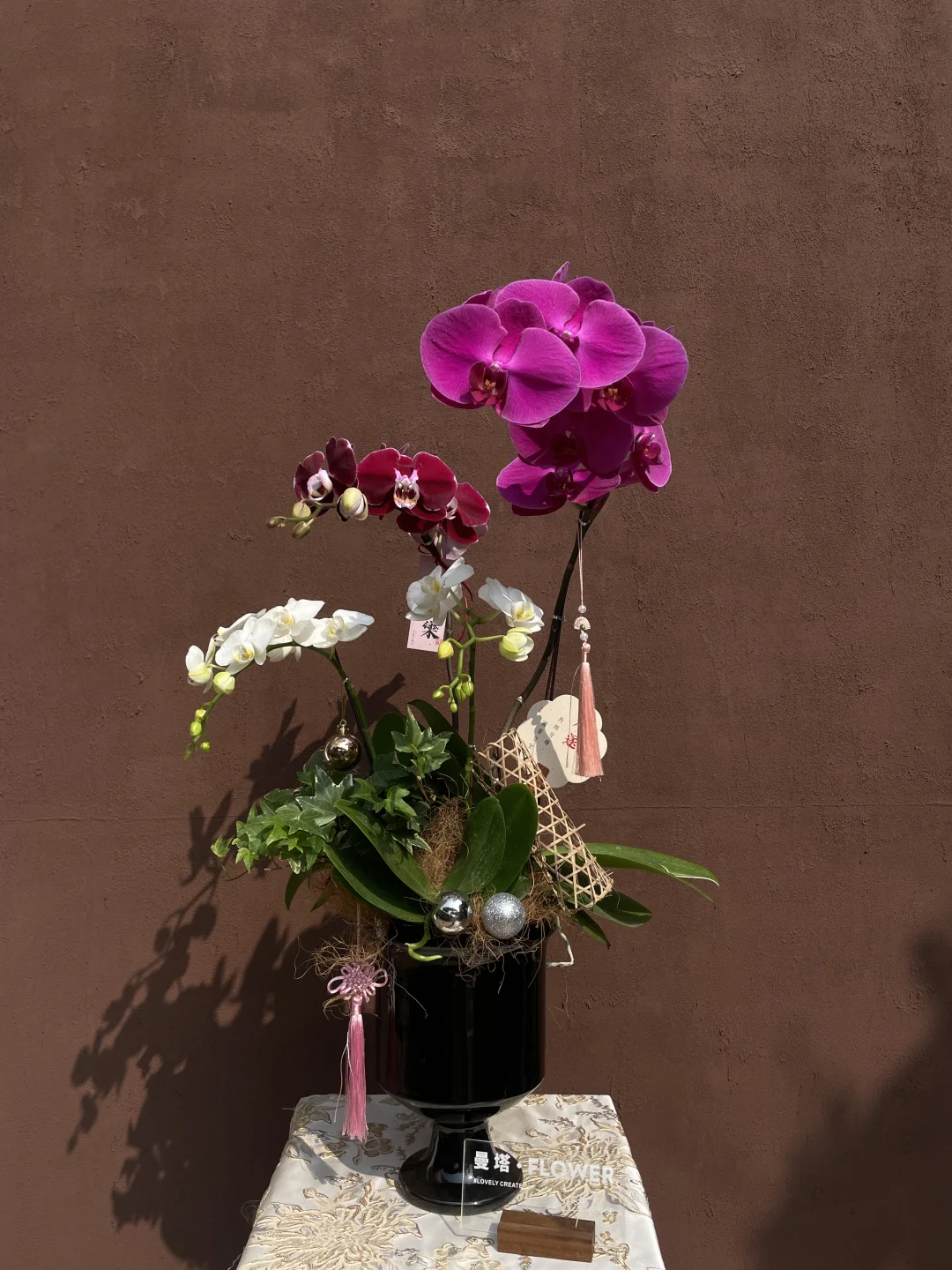 这盆超美～🕊
