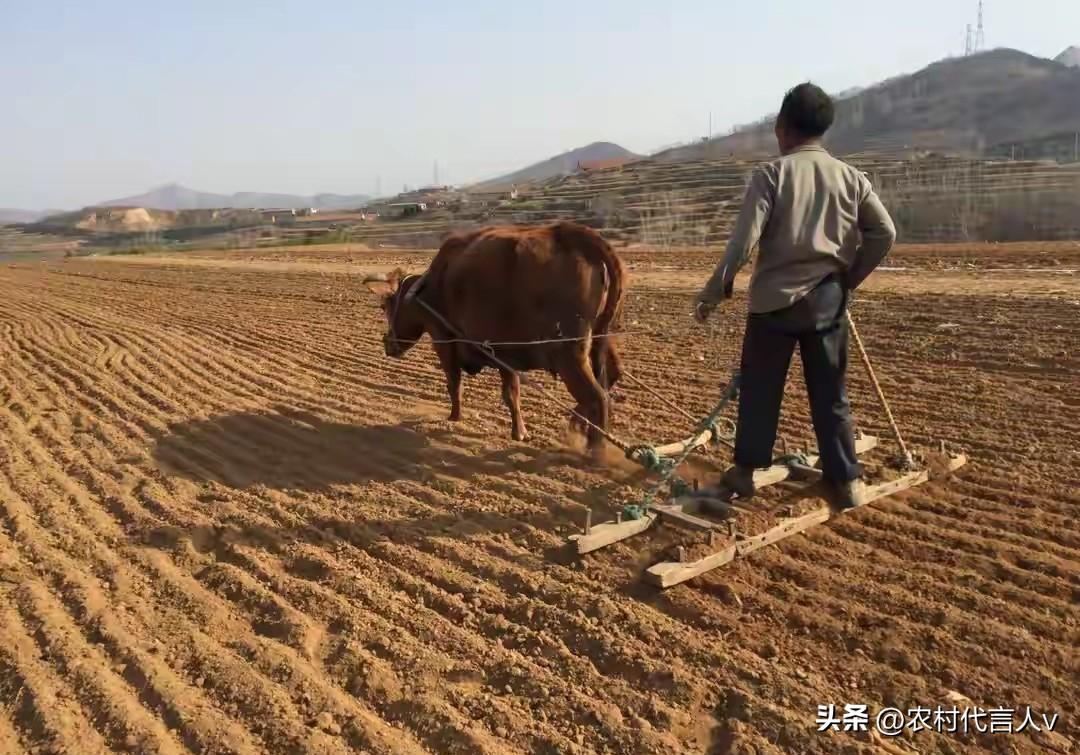 你身边的地主富农后代现在过得怎么样？我老家这三家的故事，藏着日子最实在的答案。
