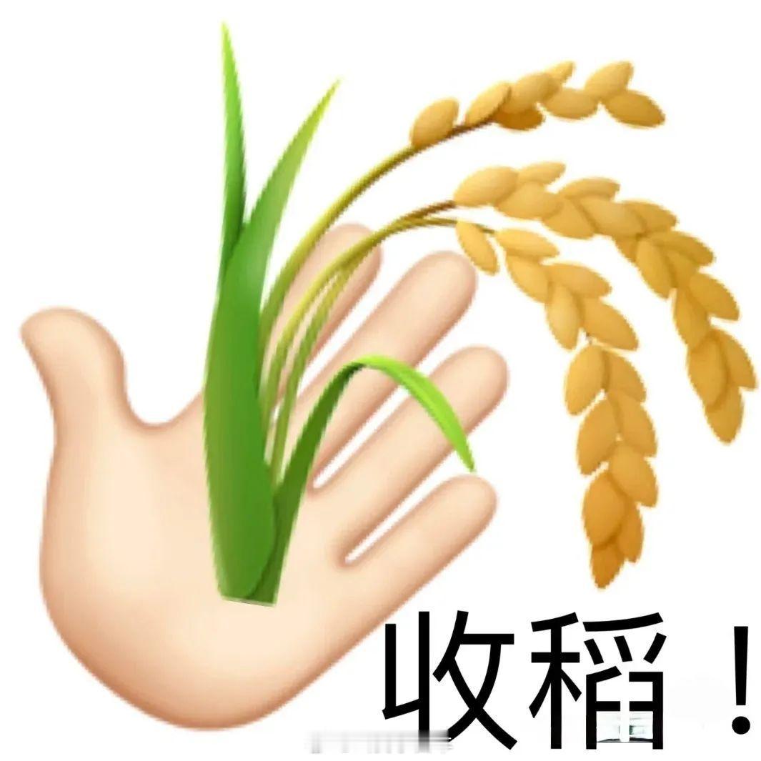 打工人专用表情包 ​​​