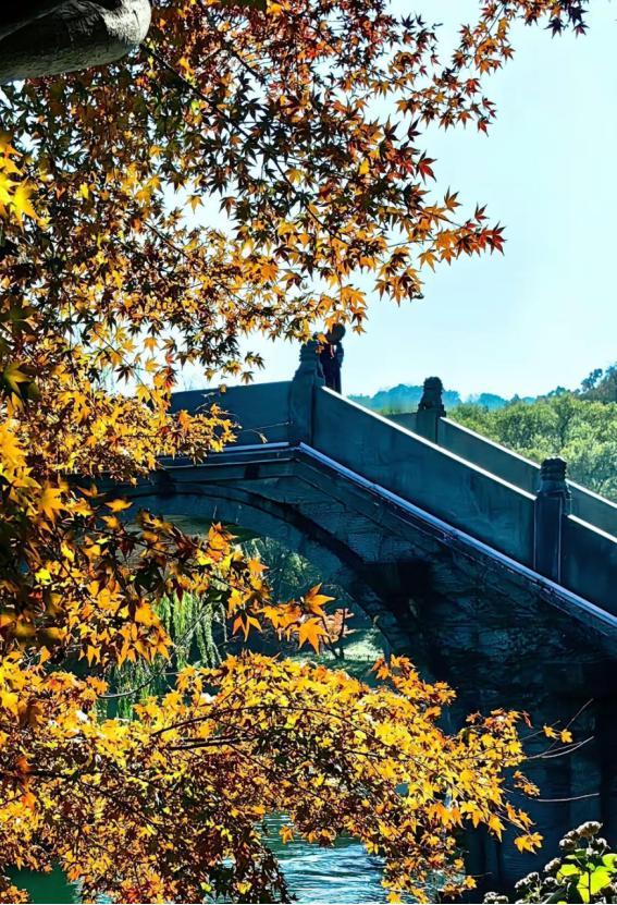 一位养生专家说:
跑步真的很要命。
养生专家突然语出惊人称跑步很要命，说跑步是耗