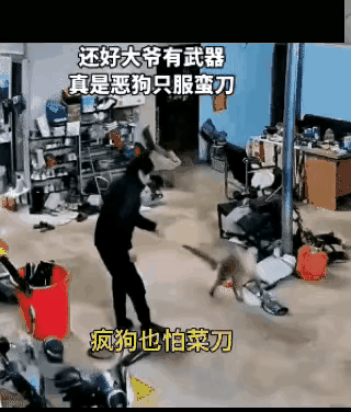 男士这两下干净利索，对于下口咬人的狗，就应该果断的处理掉，不然的话，会后患无穷的