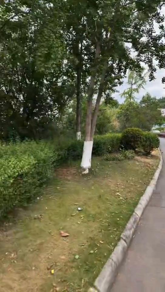转过来是不是拢了吗？看到小区了吗？看过去公交站了，这个不是我们小区那边那几栋才是