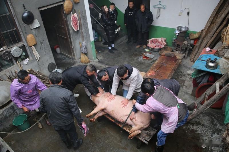 博主请吃杀猪宴被索要1200元场地费 900万粉丝网红博主赴株洲村庄办免费杀猪宴