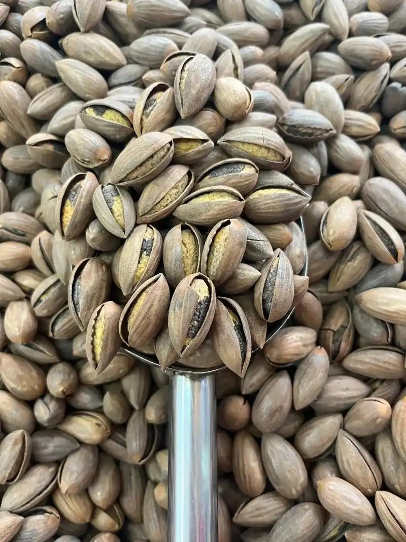 香榧吃起来好怪啊，简直是坚果届的樟脑丸 