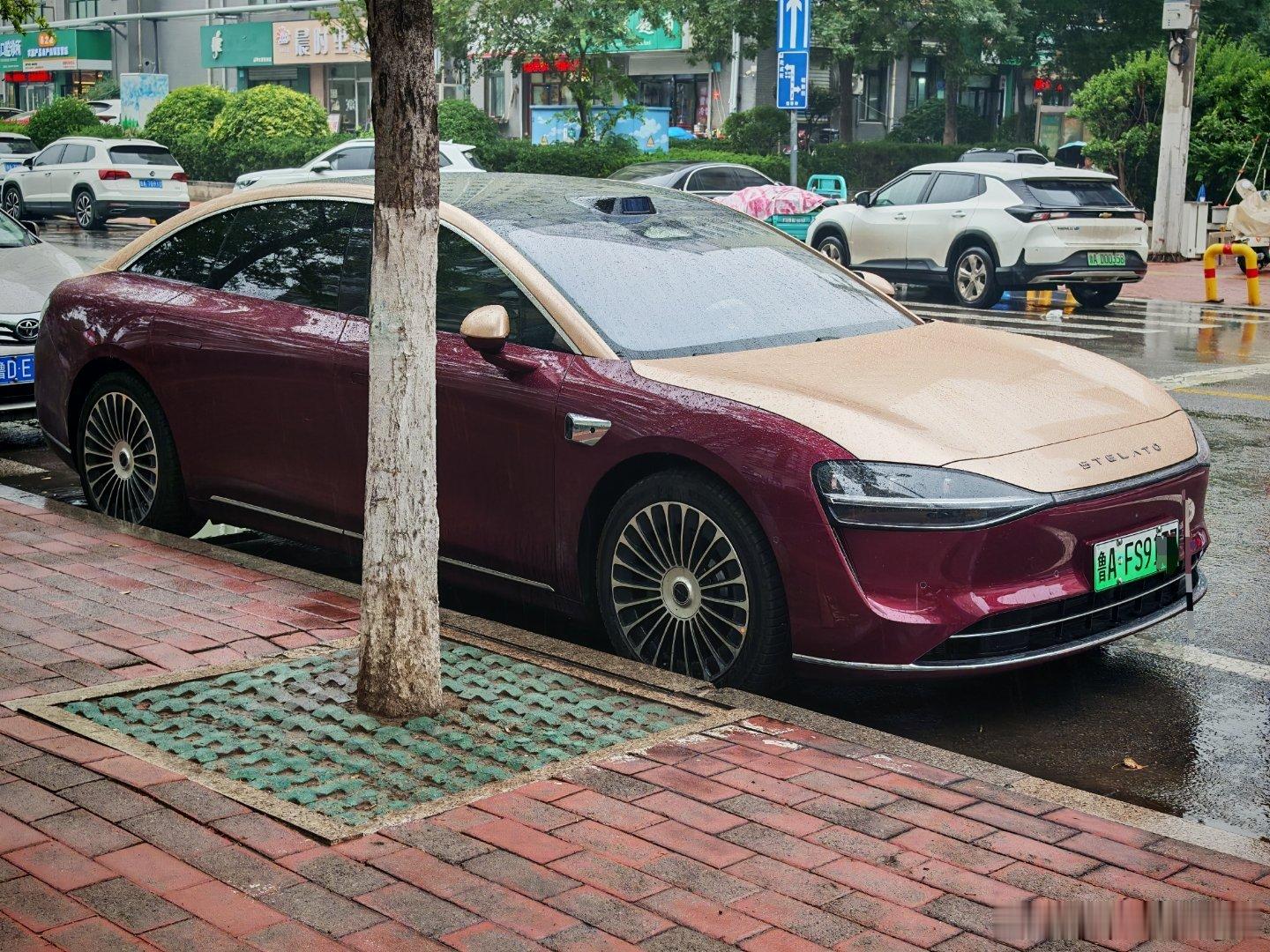 路遇一台贴了双拼色车衣的享界S9，和周围其他车一比太贵气了。这台享界S9的车牌应