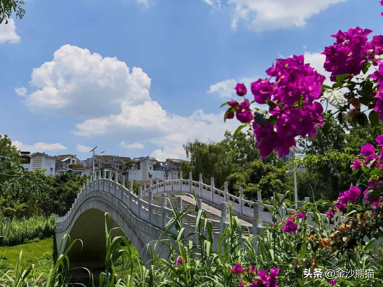 《都市风光》
白云蓝天成都府，
玉带桥畔垂杨柳。
锦江碧水沙河景，
拍下最美夕阳
