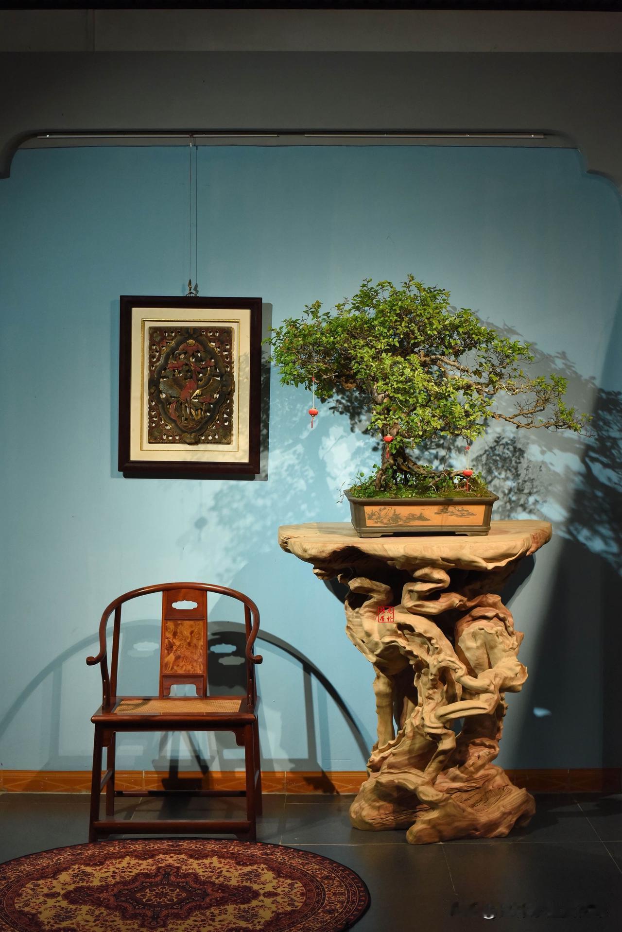 芳香满屋｜挑战全球最大香樟木根雕花架
一木成器，藏尽自然灵韵。
根雕花架以天然树