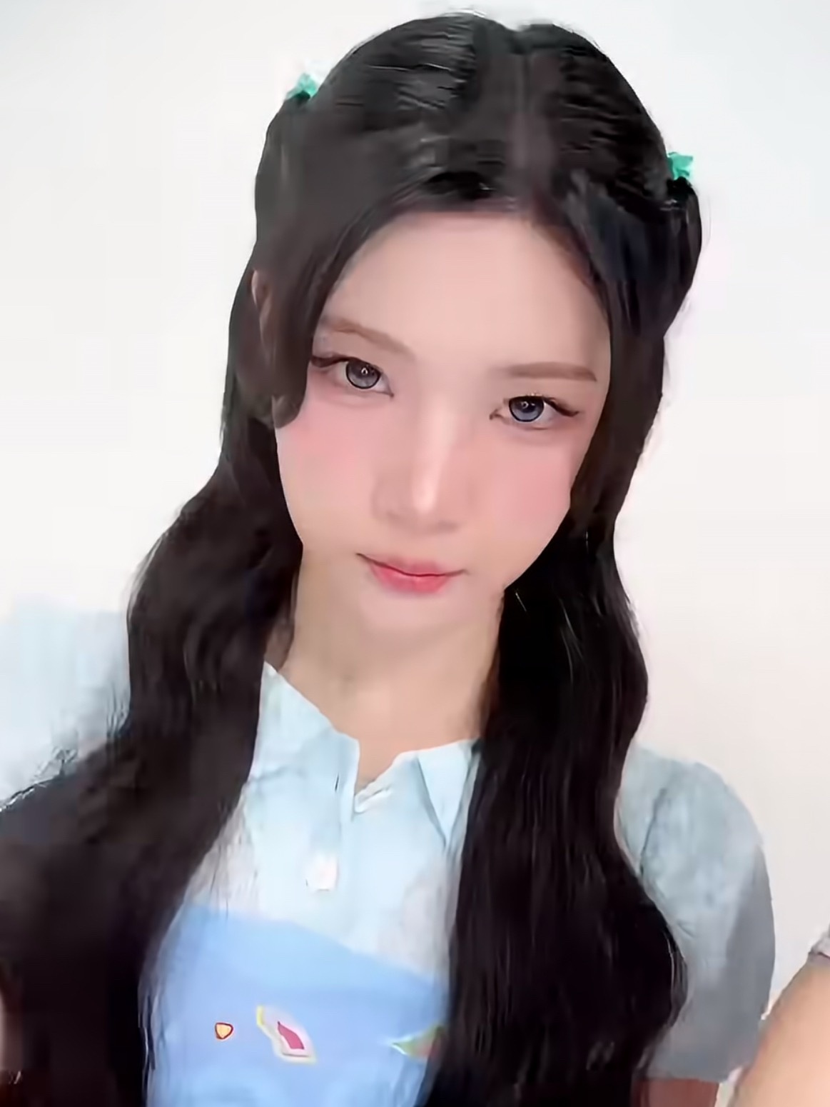 这里有只傻子白狗啊 