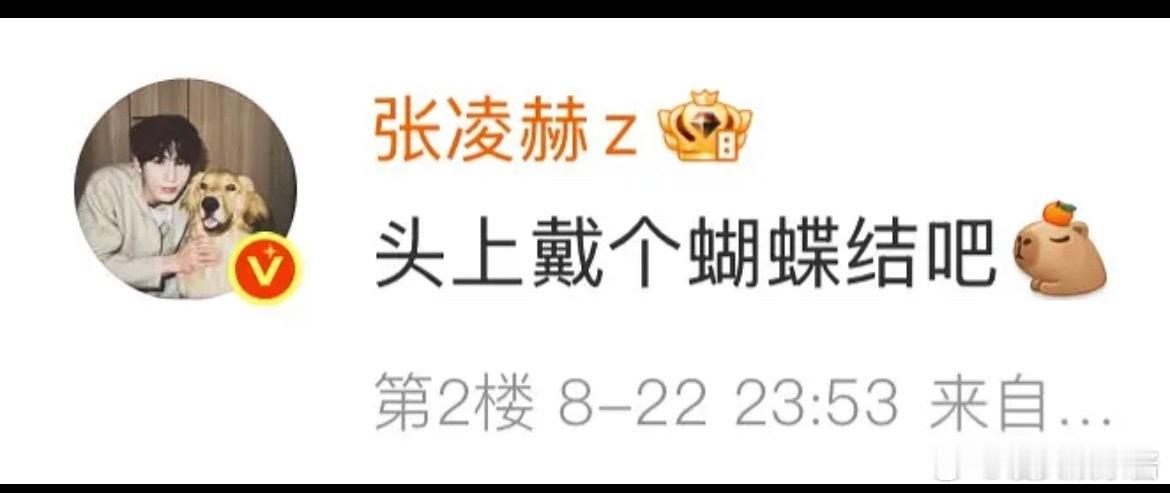 张凌赫和田曦薇巧合这么多吗 