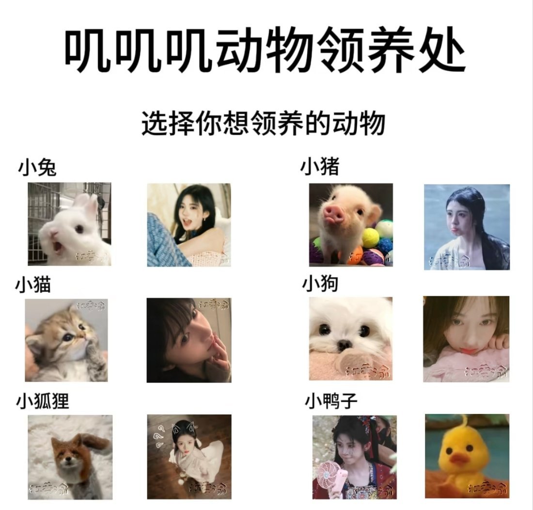 我把小猪领走了，剩下的你们随意  ​​​