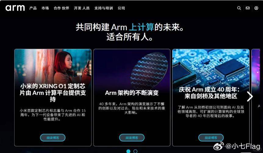 雷军恳请大家转发辟谣没有走CSS服务，那以前Arm发的文章被删除的这个怎么解释？