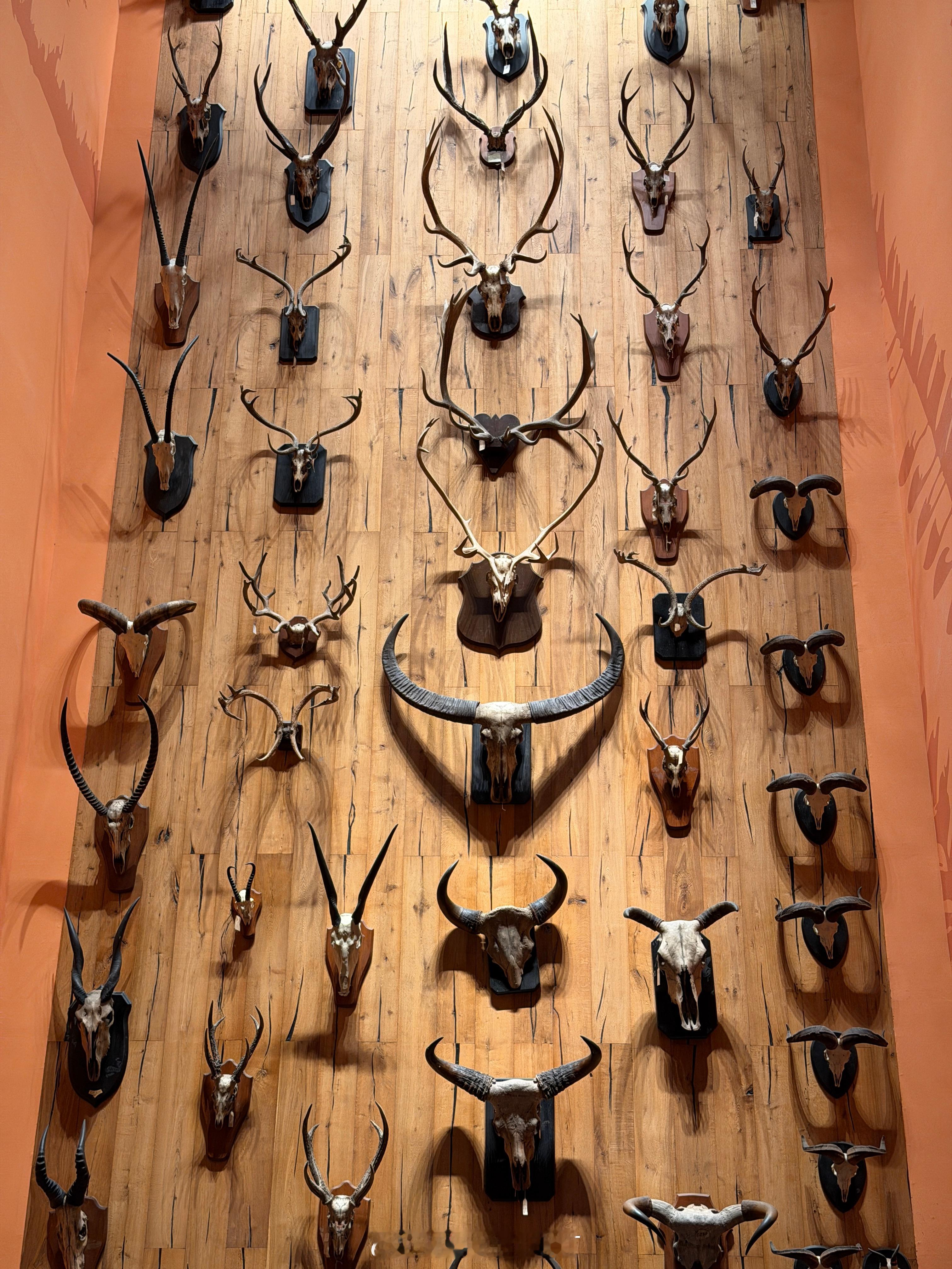 这要是在古代，绝对是王侯将相家的藏品