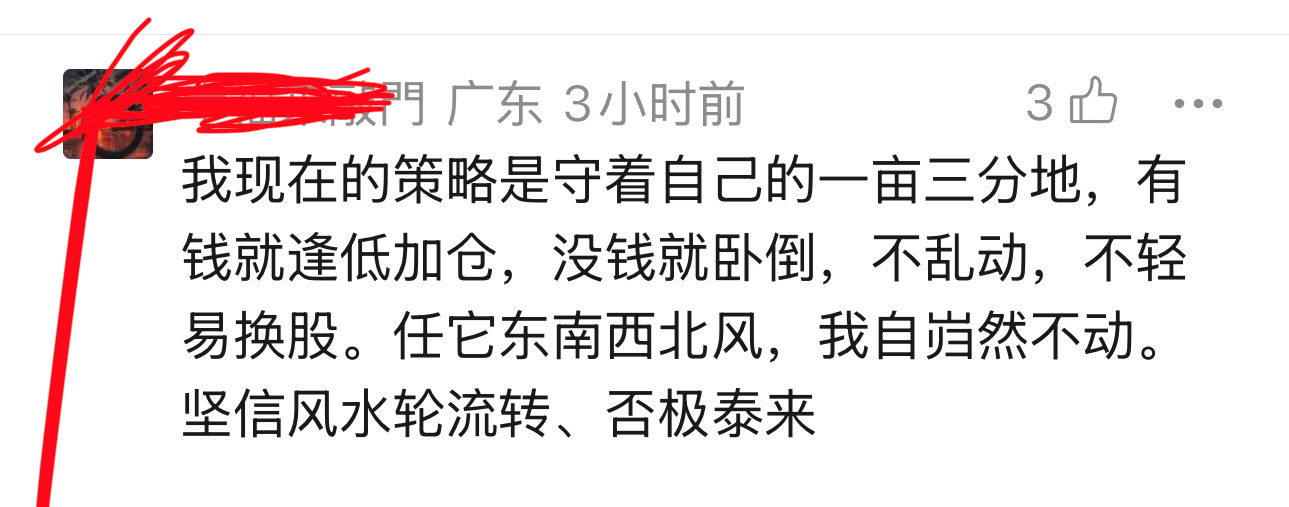 网友给我留言，我觉得说得很好，分享给大家：我现在的策略是守着自己的一亩三分地，有