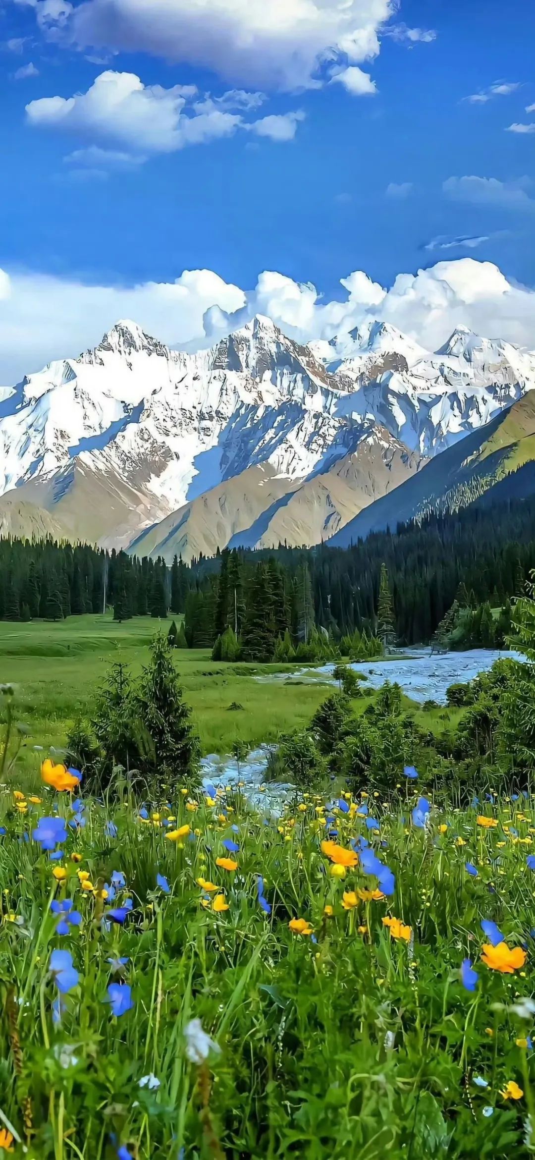 不慌不忙，不卑不亢，自在从容过一生。 