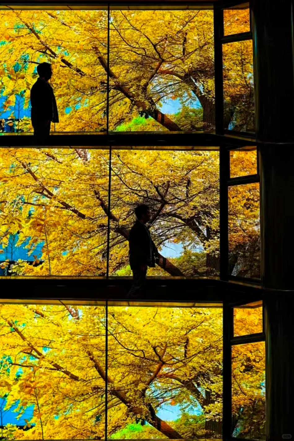 秋日浓度播报🍂北京这20个地方值得细细品
