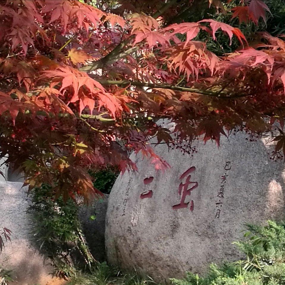 这就是风月无边！